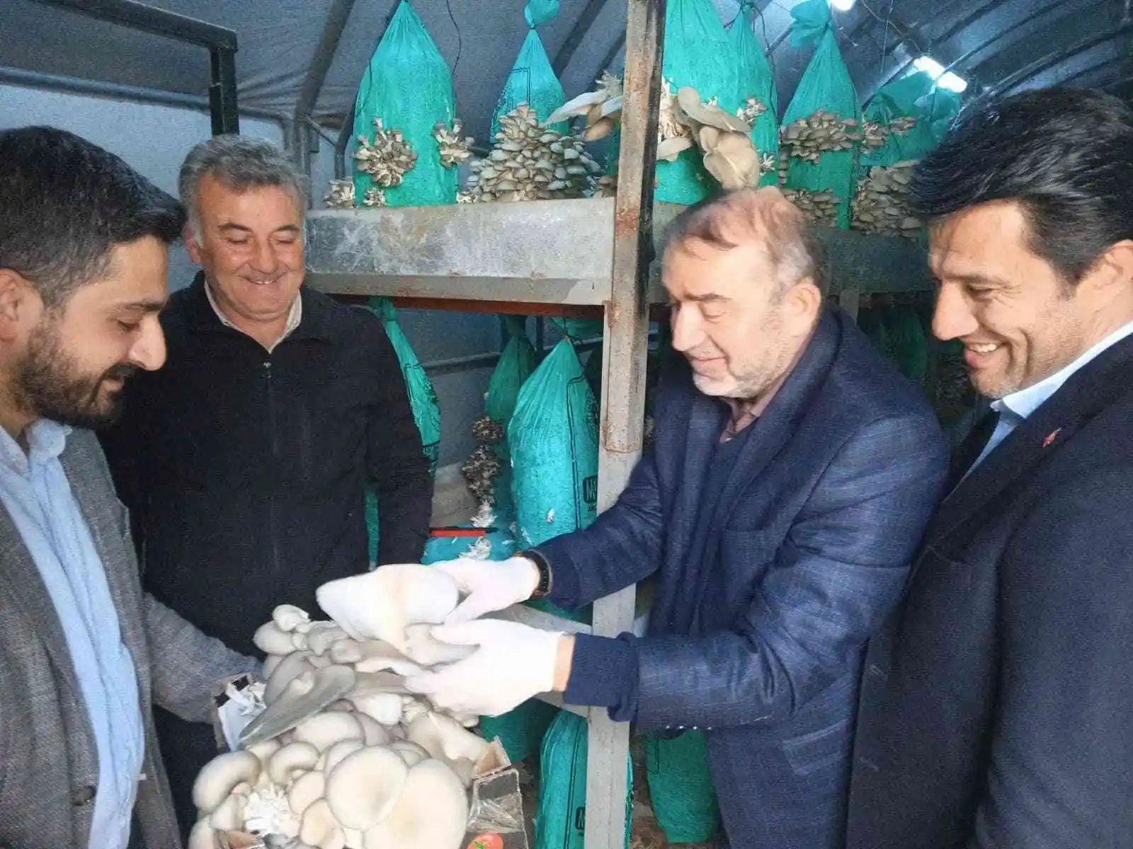 Artvin’de atıl duruma düşen karayolu tüneli mantar üretim tesisi haline geldi