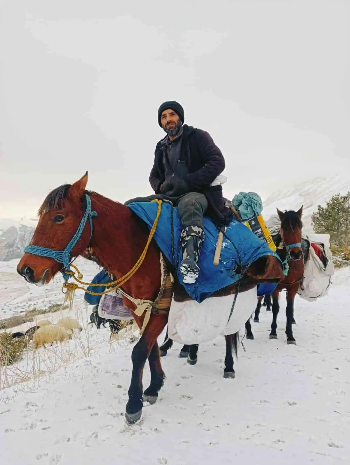 Artvin’de besicilerin zorlu kış şartlarıyla mücadelesi
