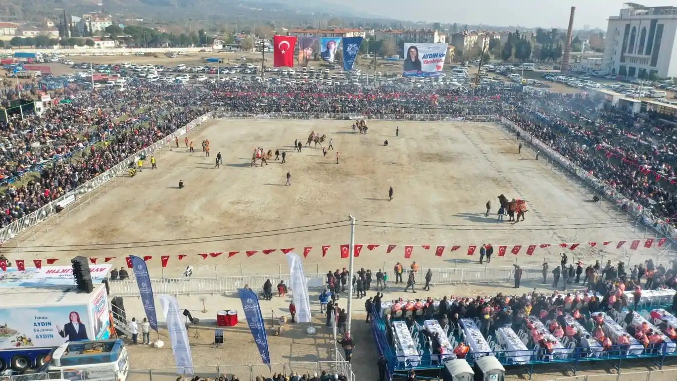 Aydın'da 160 deve kıran kırana güreşti