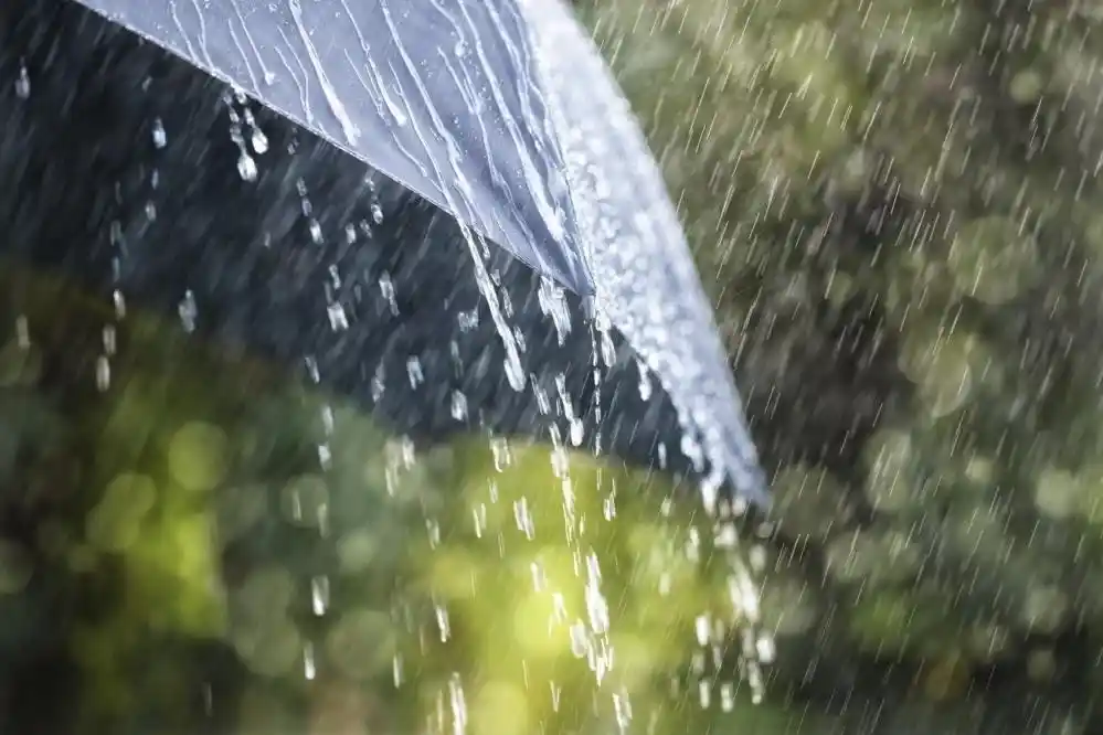 Aydın'da yağışlı hava devam edecek
