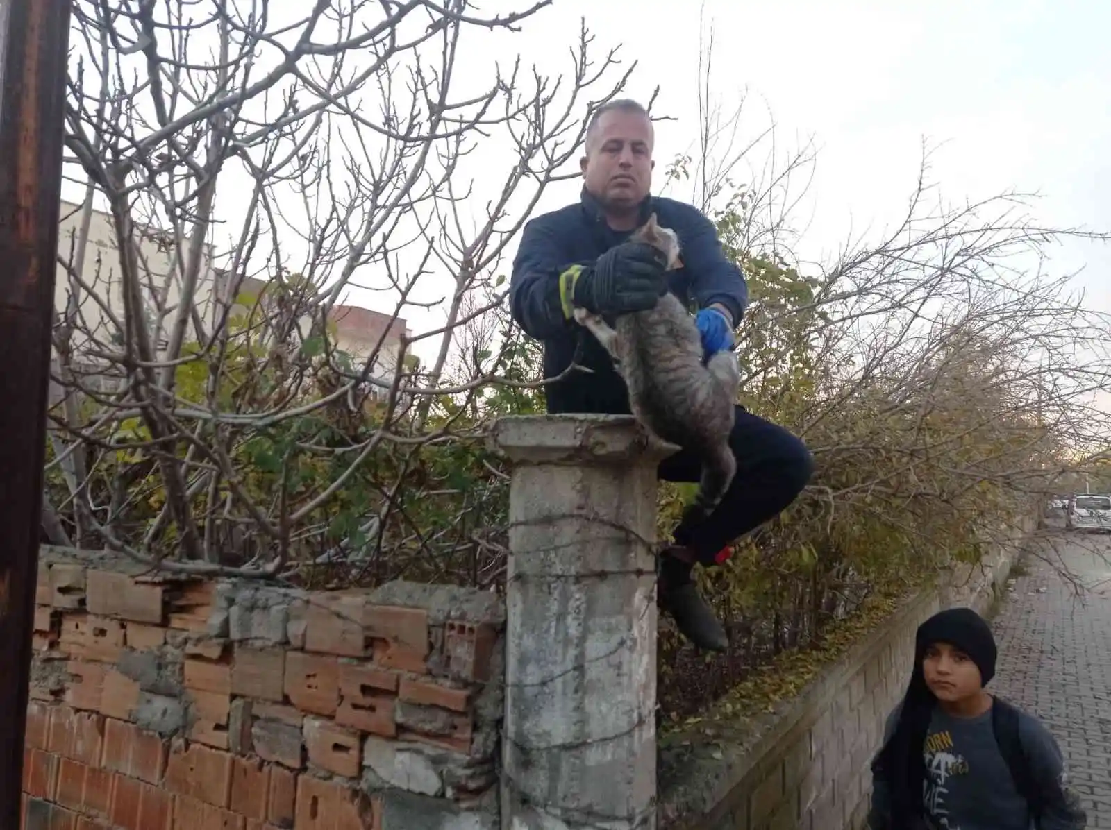 Batman'da dikenli tele dolanan kedi itfaiye ekiplerince kurtarıldı
