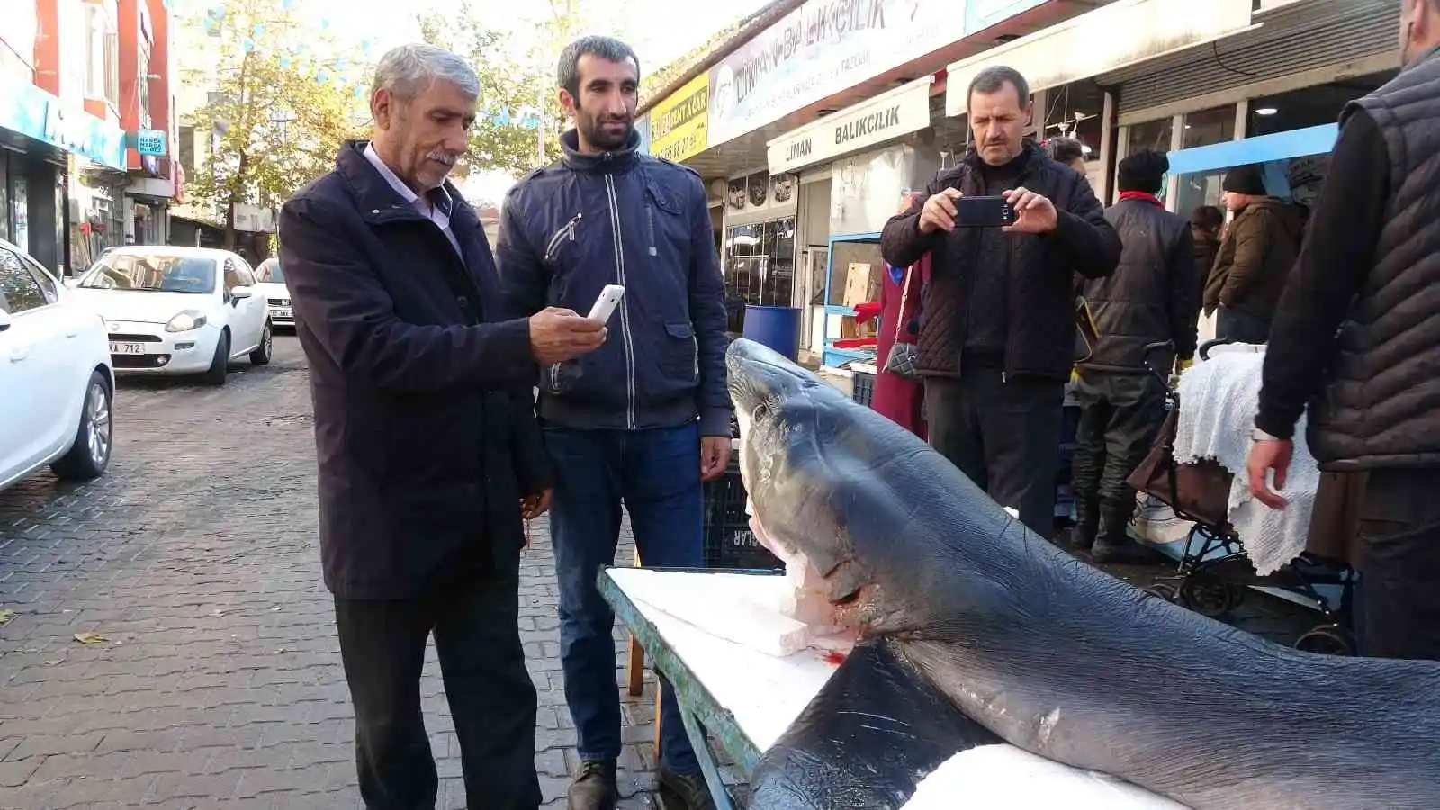 Bingöl'de 3 metrelik köpek balığı ilgi odağı oldu
