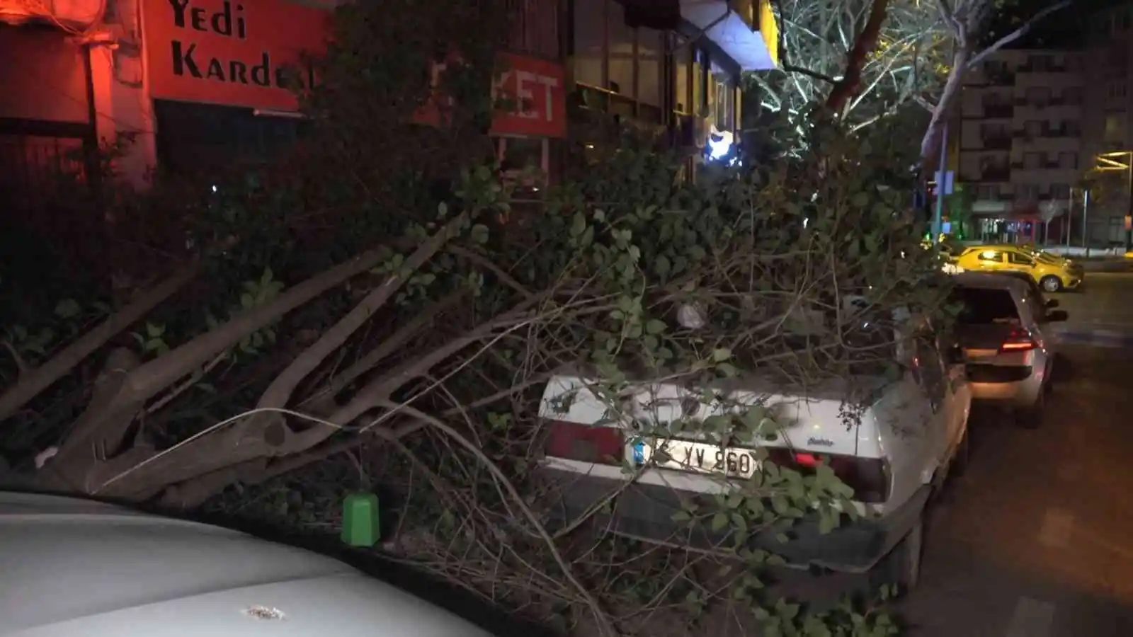Bursa'da şiddetli lodosun etkisiyle kırılan ağaç, park halindeki otomobilin üzerine düştü
