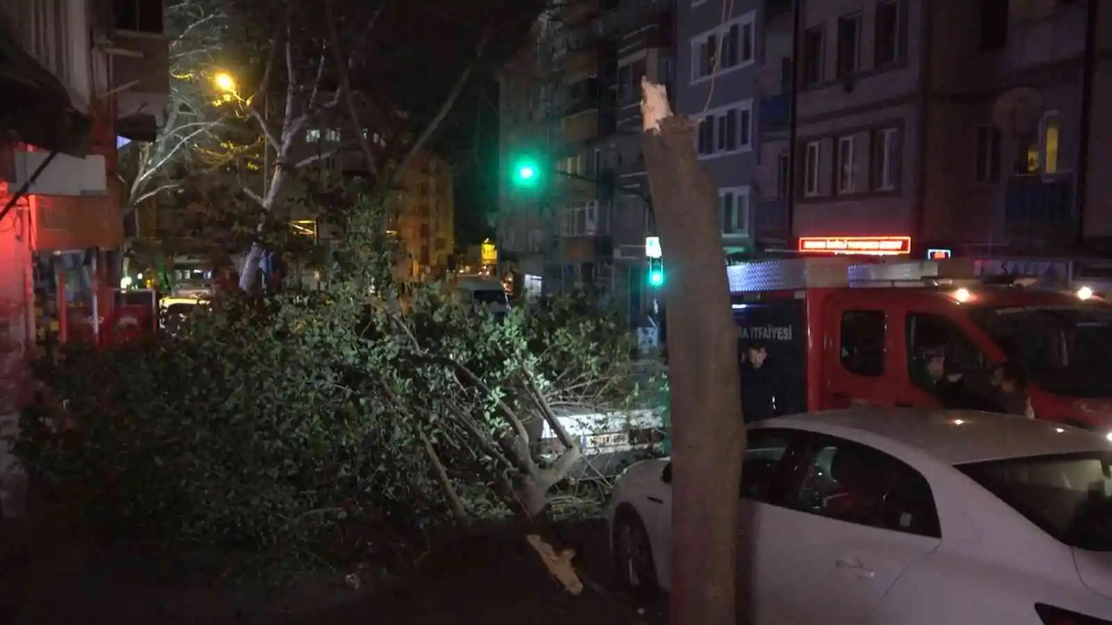 Bursa’da şiddetli lodosun etkisiyle kırılan ağaç, park halindeki otomobilin üzerine düştü
