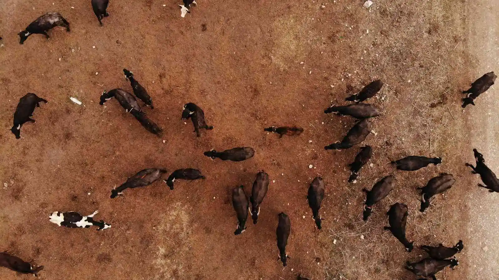 Cumhurbaşkanı açıkladı ilçe halkı daha fazla üretim için hızlandı