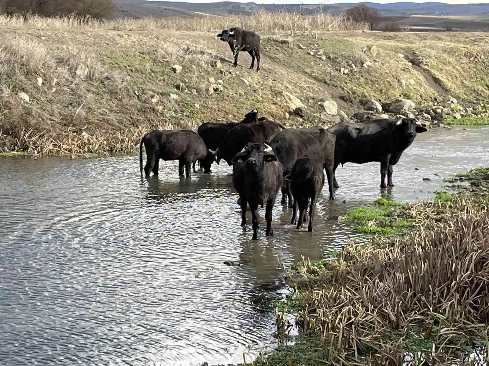 Cumhurbaşkanı açıkladı ilçe halkı daha fazla üretim için hızlandı