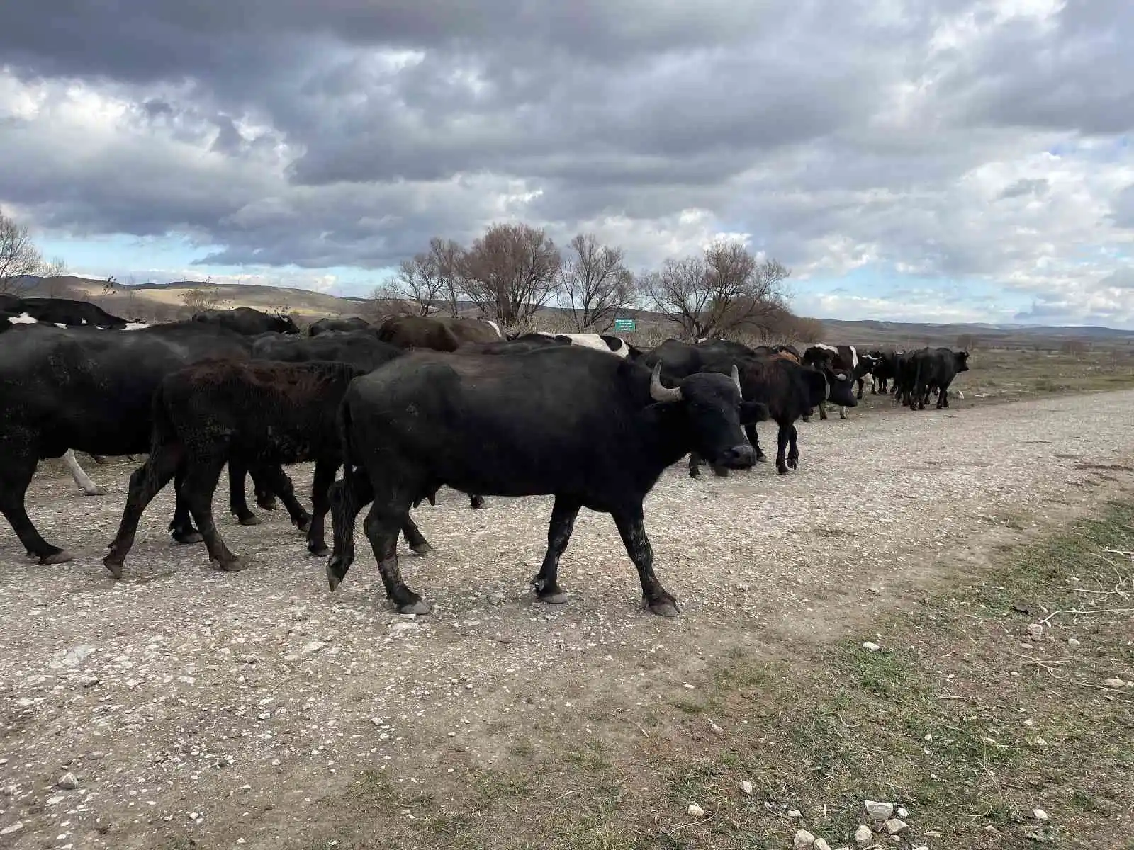 Cumhurbaşkanı açıkladı ilçe halkı daha fazla üretim için hızlandı