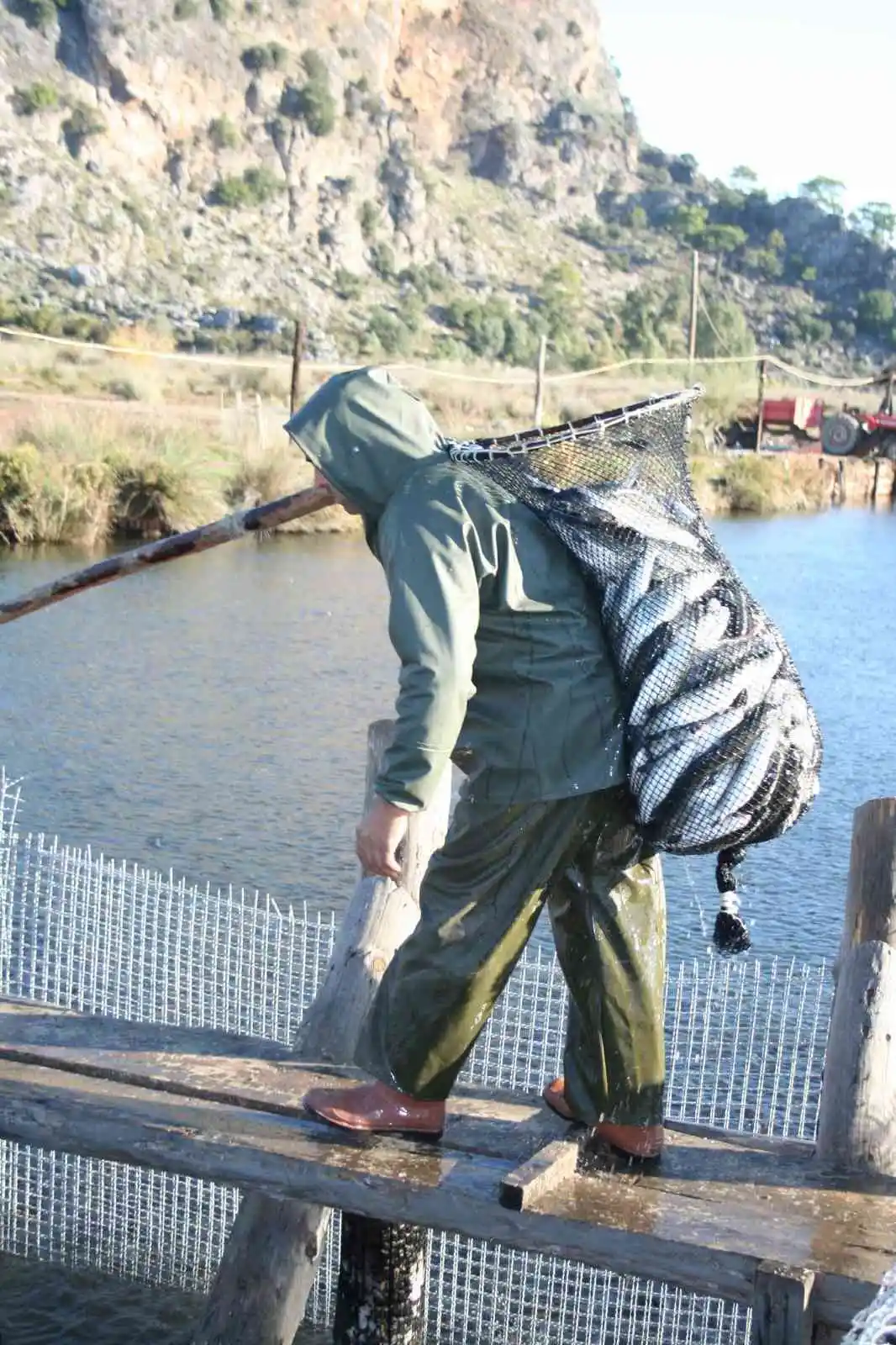 Dalyan kefali kilosu 50 liradan satılıyor
