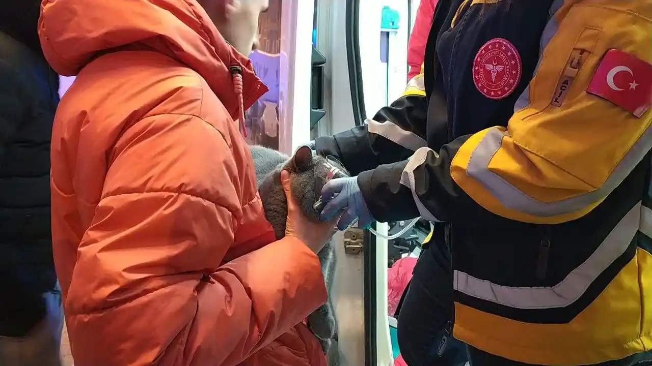 Dumanlar arasında kalan kedi, polis ekiplerince kurtarıldı