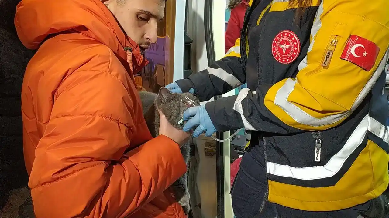 Dumanlar arasında kalan kedi, polis ekiplerince kurtarıldı