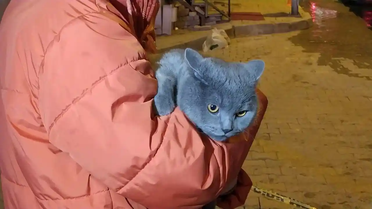 Dumanlar arasında kalan kedi, polis ekiplerince kurtarıldı