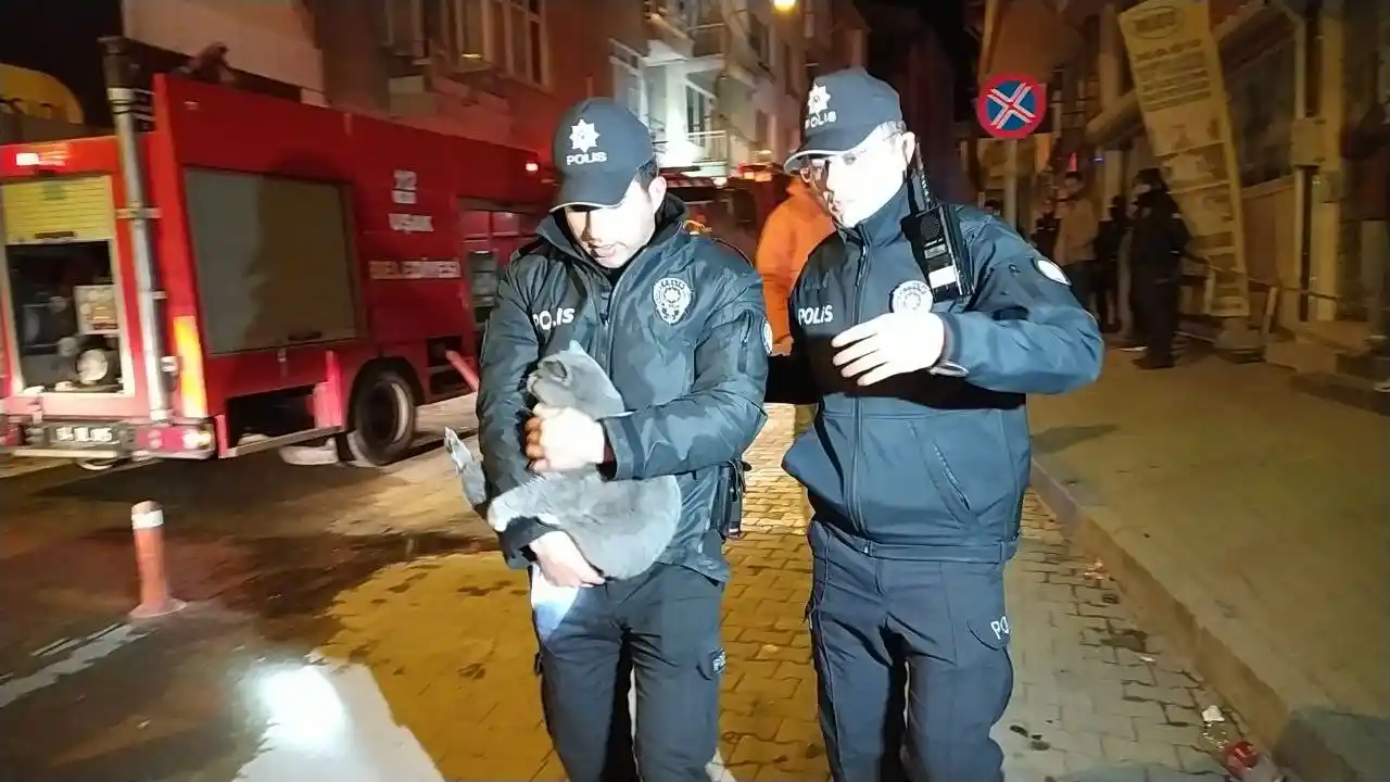 Dumanlar arasında kalan kedi, polis ekiplerince kurtarıldı