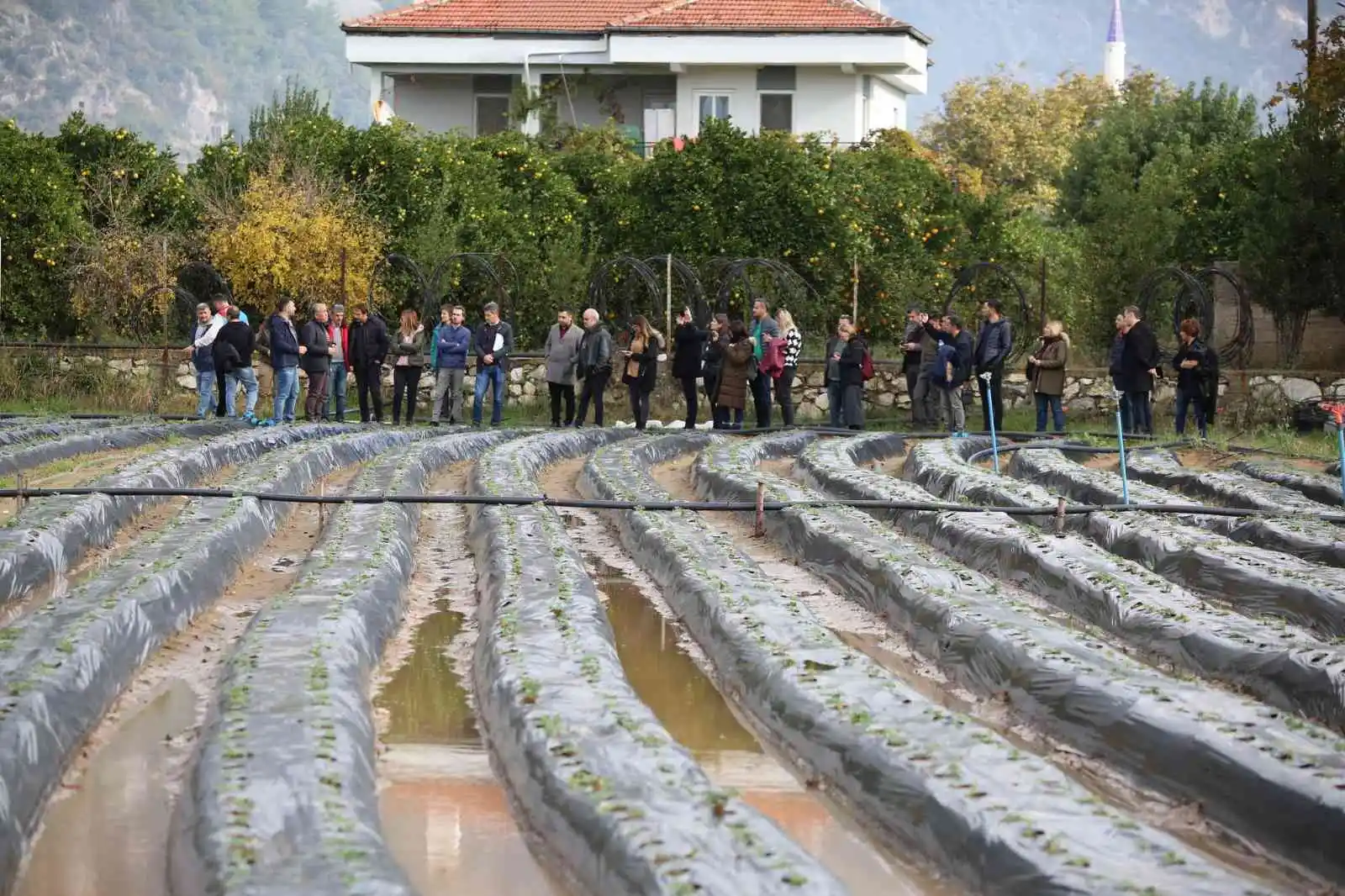 Ege’nin tarım uzmanları Muğla’da bir araya geldi, tarımda yeni teknolojiler konuşuldu
