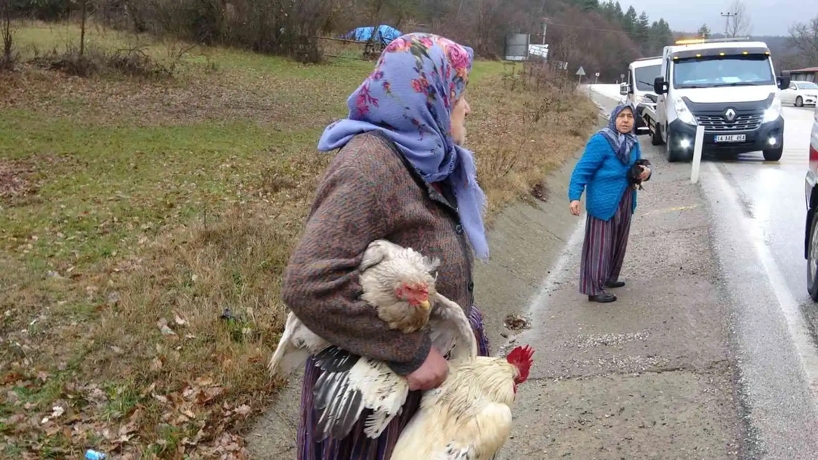 Ekipler yaralılar, köylü kadınlar tavuklar için seferber oldu