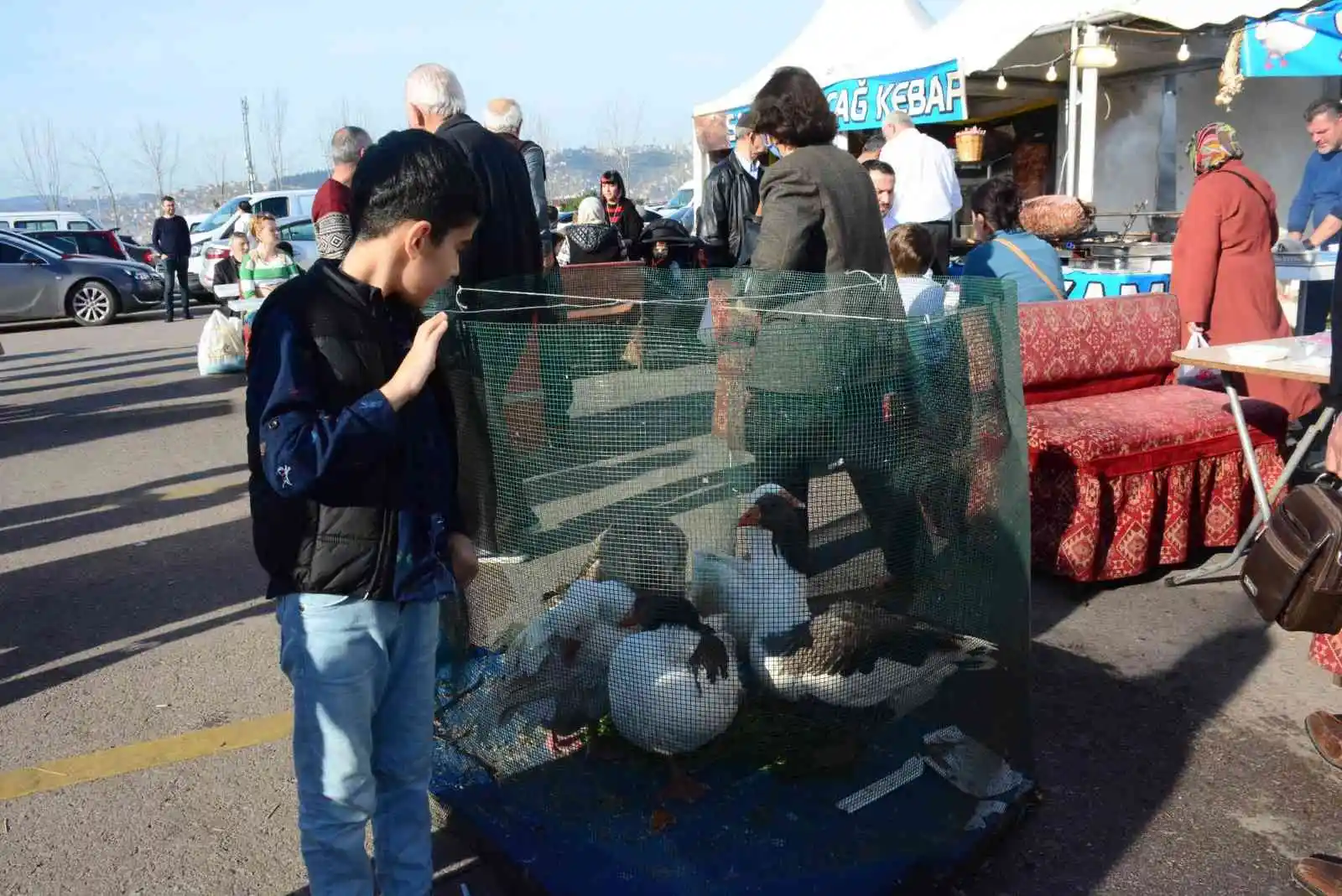 En güzel kazın piştiği festival