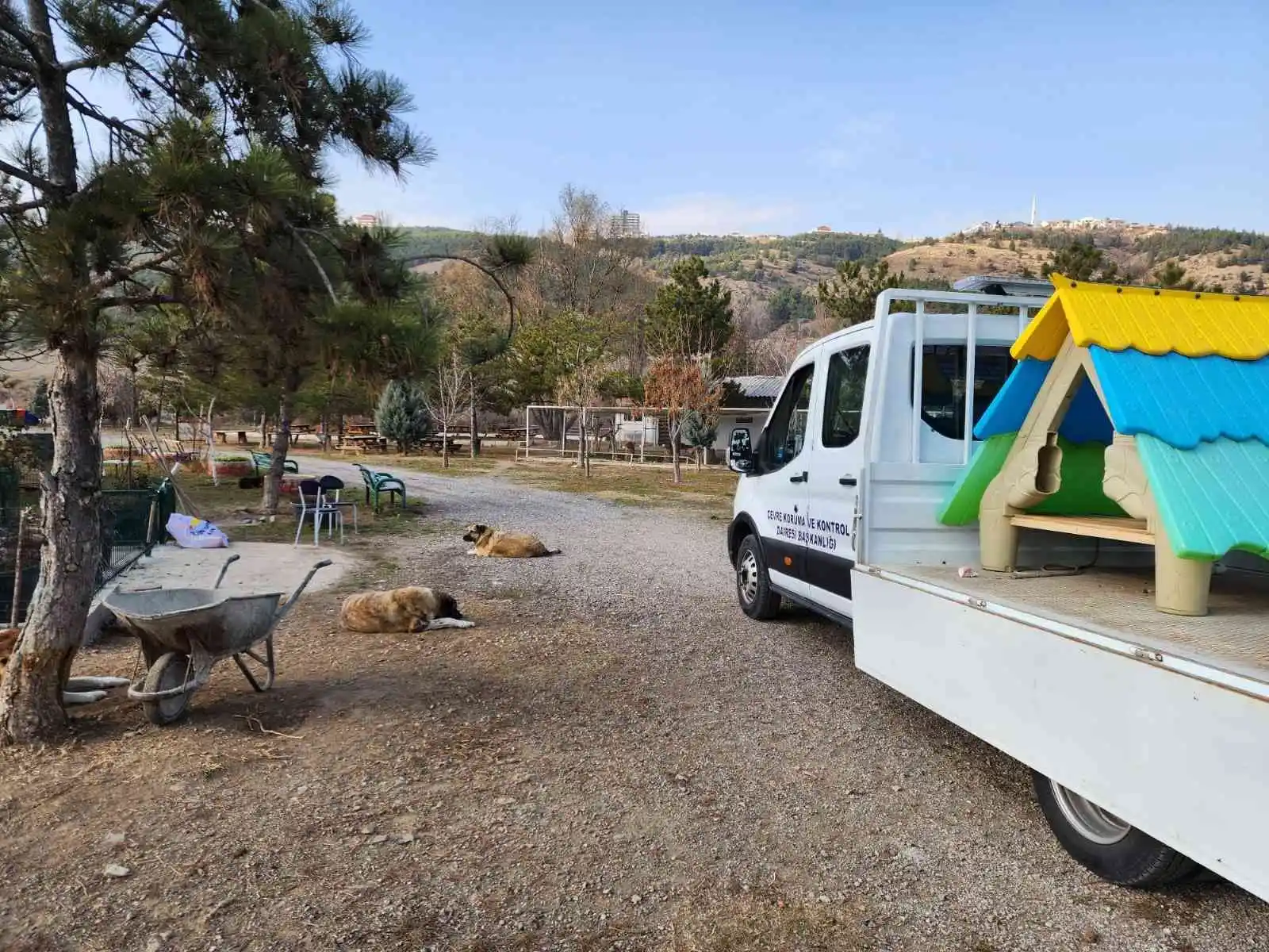 Geri dönüşüm atölyelerinde üretilen köpek kulübeleri kullanılmaya başlandı
