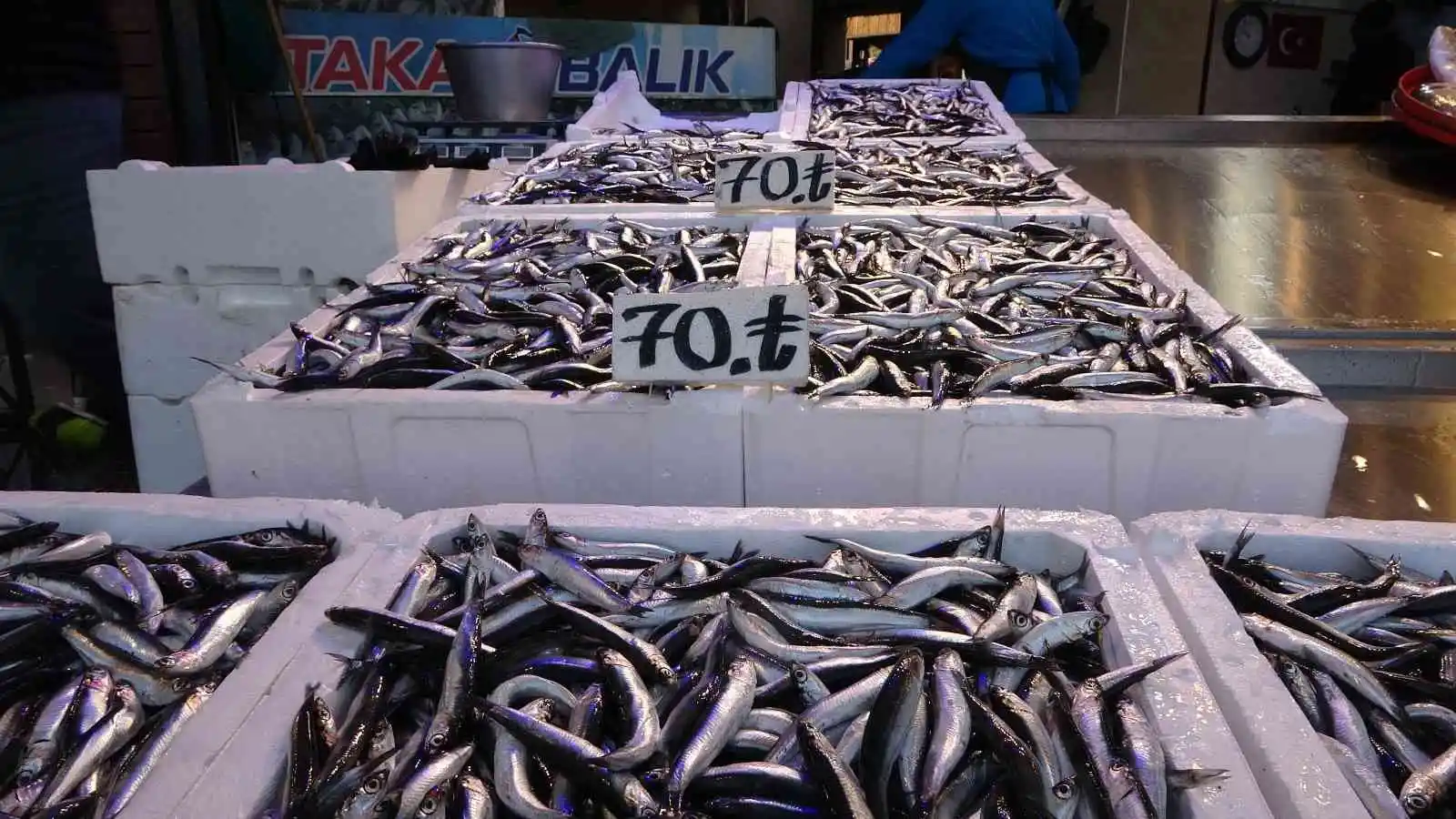 Hamsi sezonun en yüksek fiyatını gördü