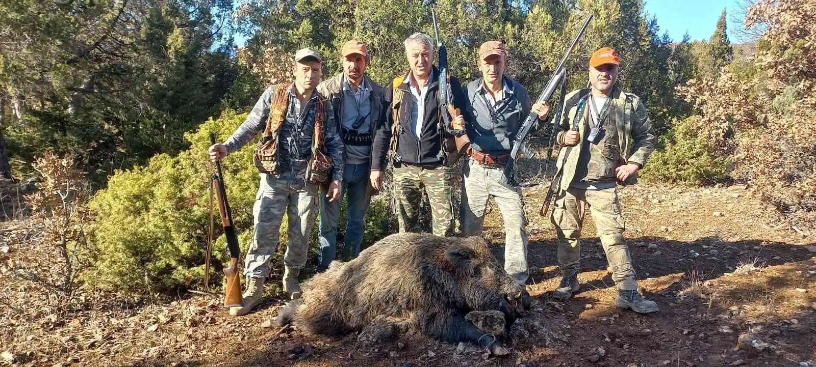 Hisarcıklı avcılar yaklaşık 350 kilo ağırlığında domuz avladı