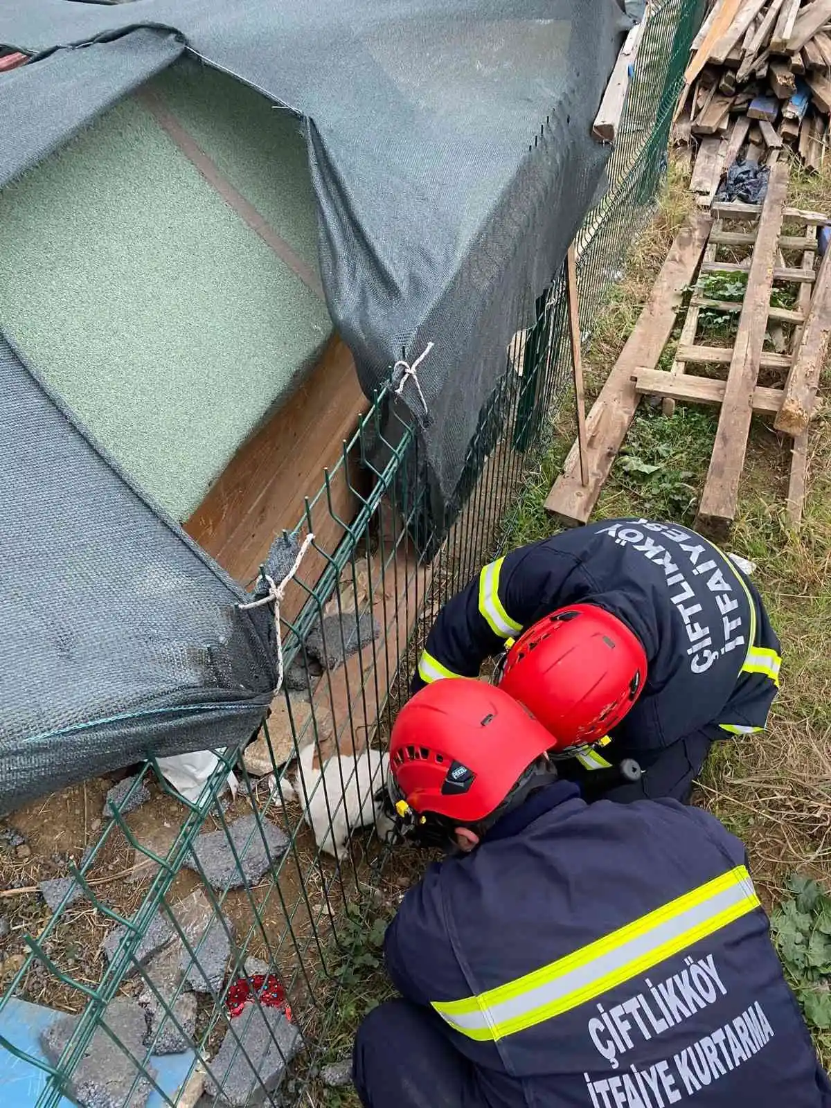 Kafası çitlere sıkışan yavru köpeği itfaiye kurtardı
