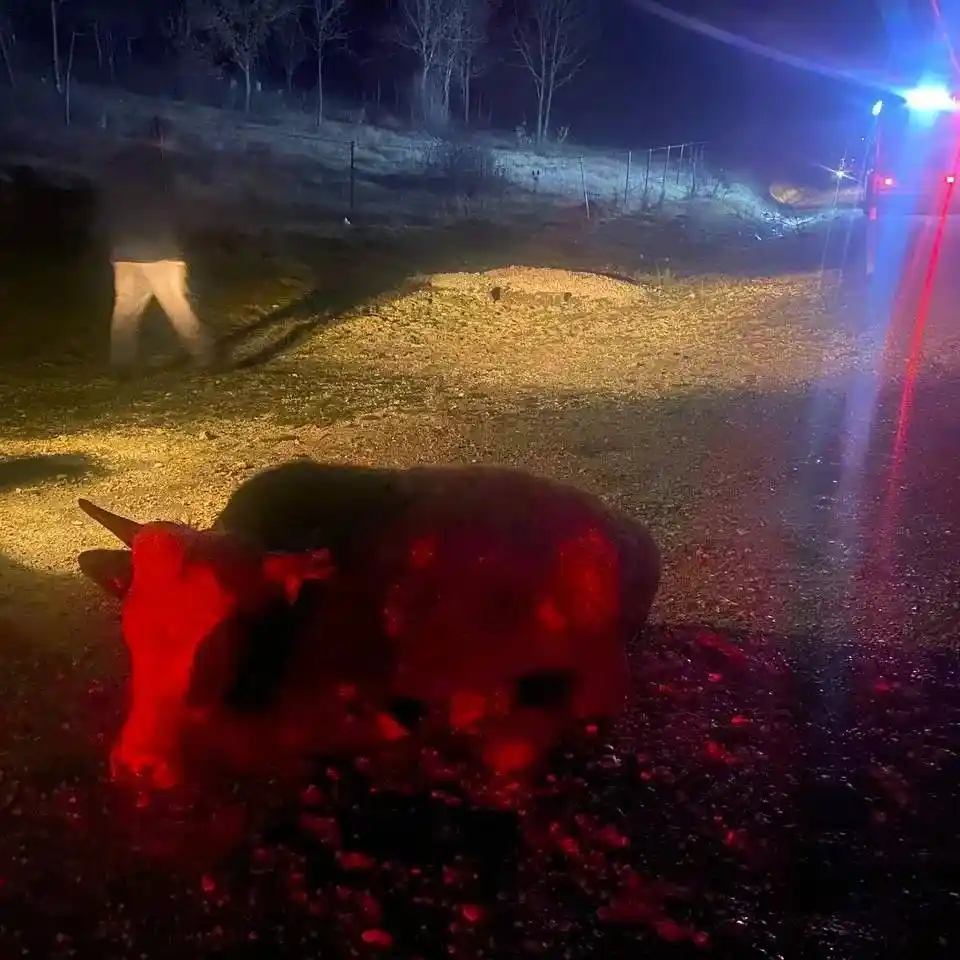 Karabük’te trafik kazası: 1 ölü
