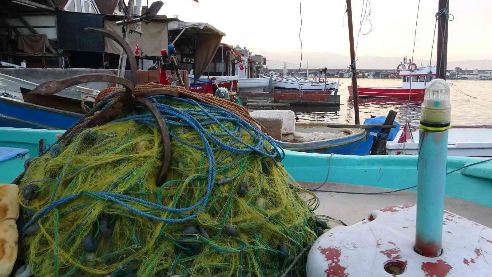 Karadeniz'de avlanan ince hamsi, diğer balık çeşitlerini tehdit ediyor
