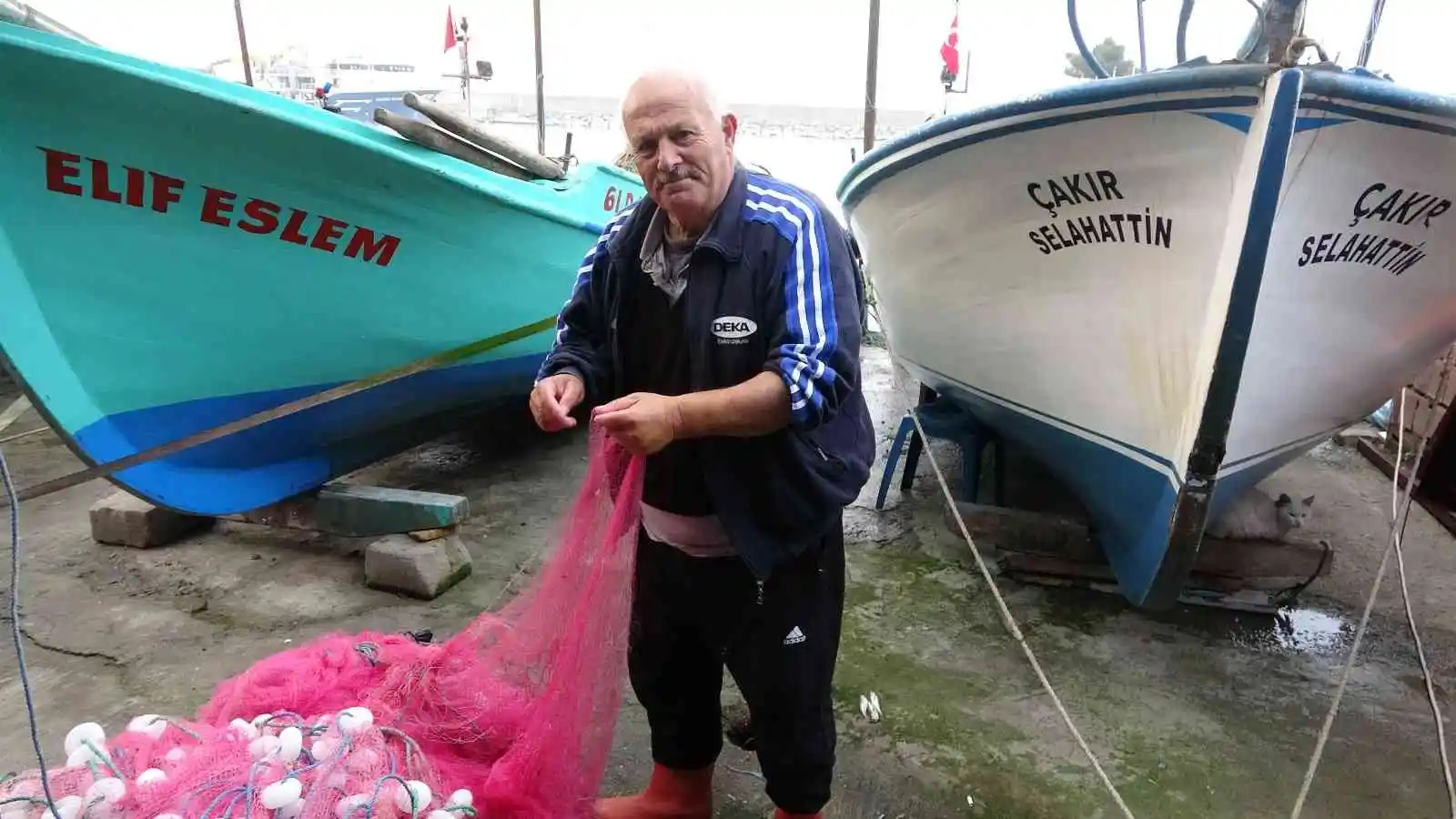 Karadeniz’de avlanan ince hamsi, diğer balık çeşitlerini tehdit ediyor
