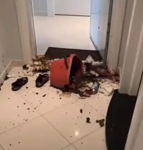 Komşularının duvarlarına tehdit sözleri yazıp dışkı süren kadın sınır dışı edildi