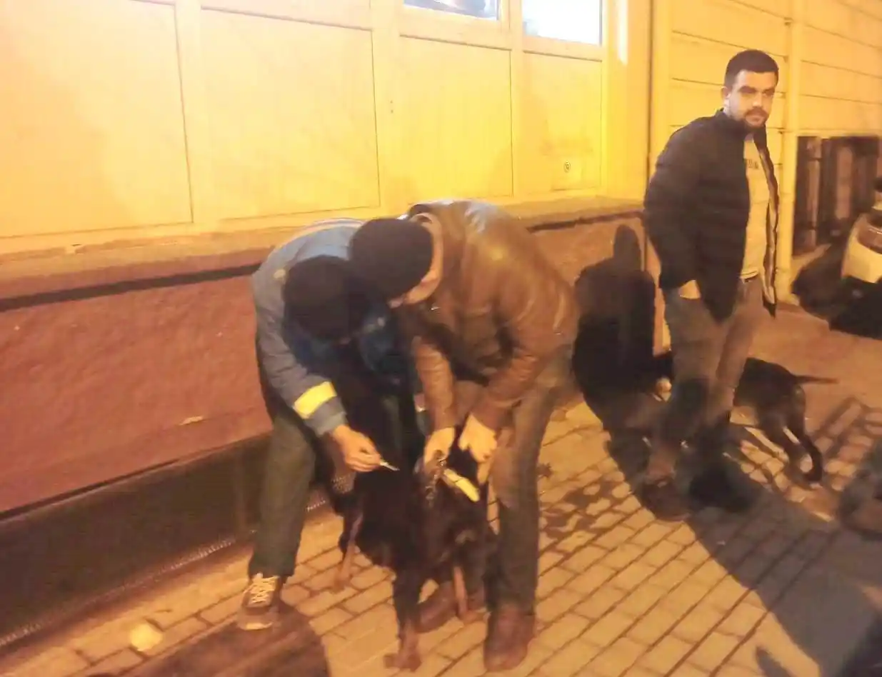 Kütahya'da 63 adet köpeğe çip uygulaması ve kuduz aşısı