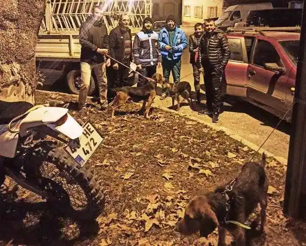 Kütahya’da 63 adet köpeğe çip uygulaması ve kuduz aşısı