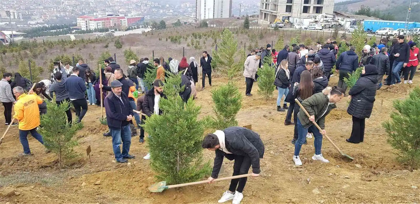 Maden şehitlerinin aileleri fidan dikiminde gözyaşlarına hakim olamadı
