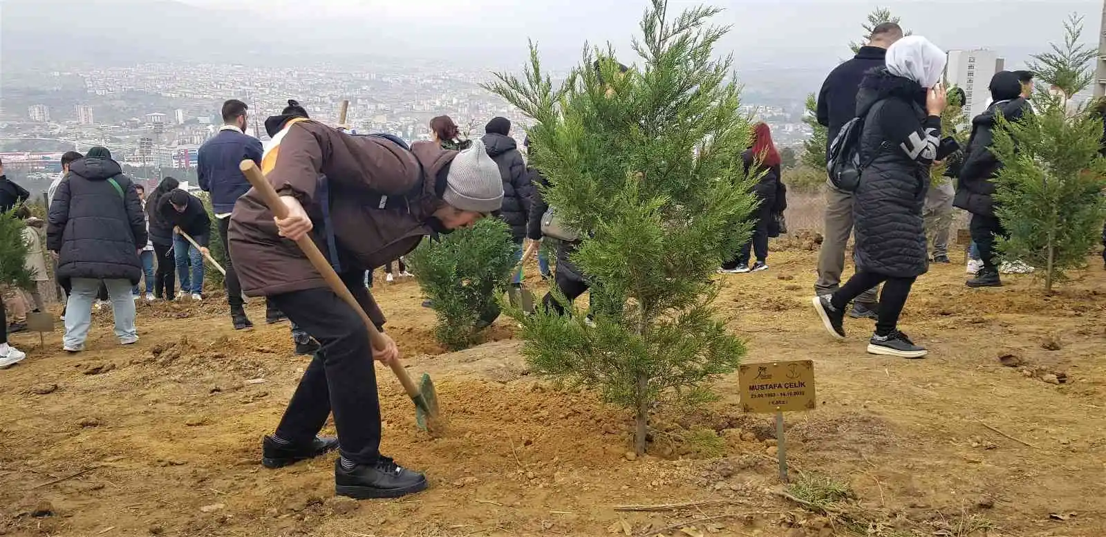 Maden şehitlerinin aileleri fidan dikiminde gözyaşlarına hakim olamadı
