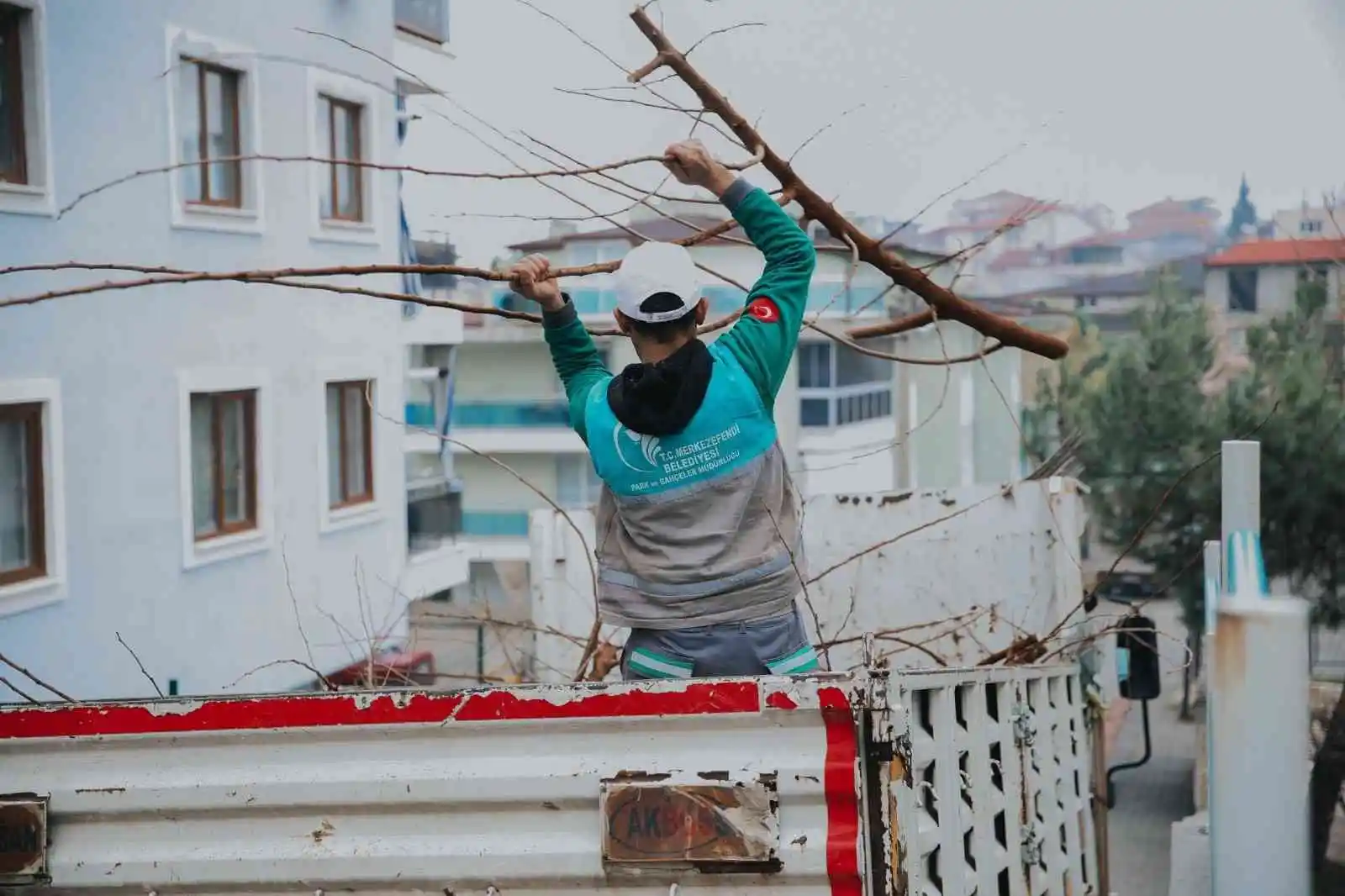 Merkezefendi’de budama çalışmaları devam ediyor
