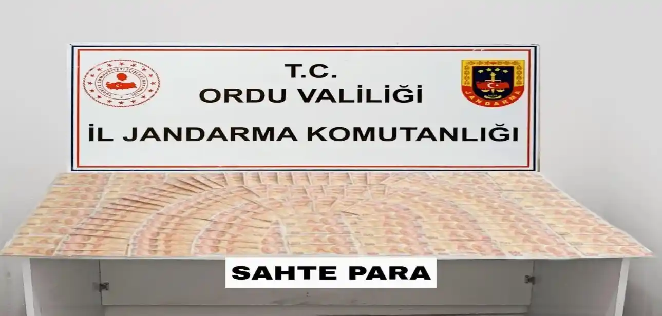 Ordu'da 181 adet 50 TL'lik sahte banknot ele geçirildi
