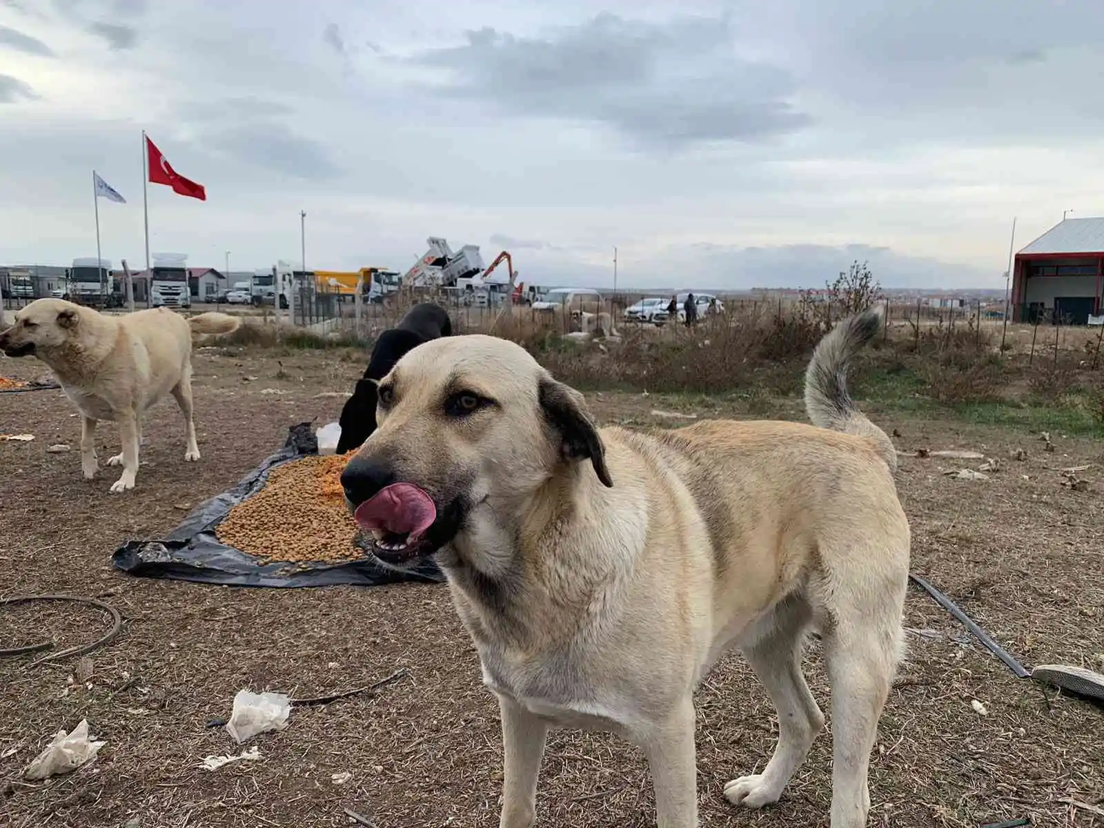 (ÖZEL) İnsanları merhamete davet ettiler