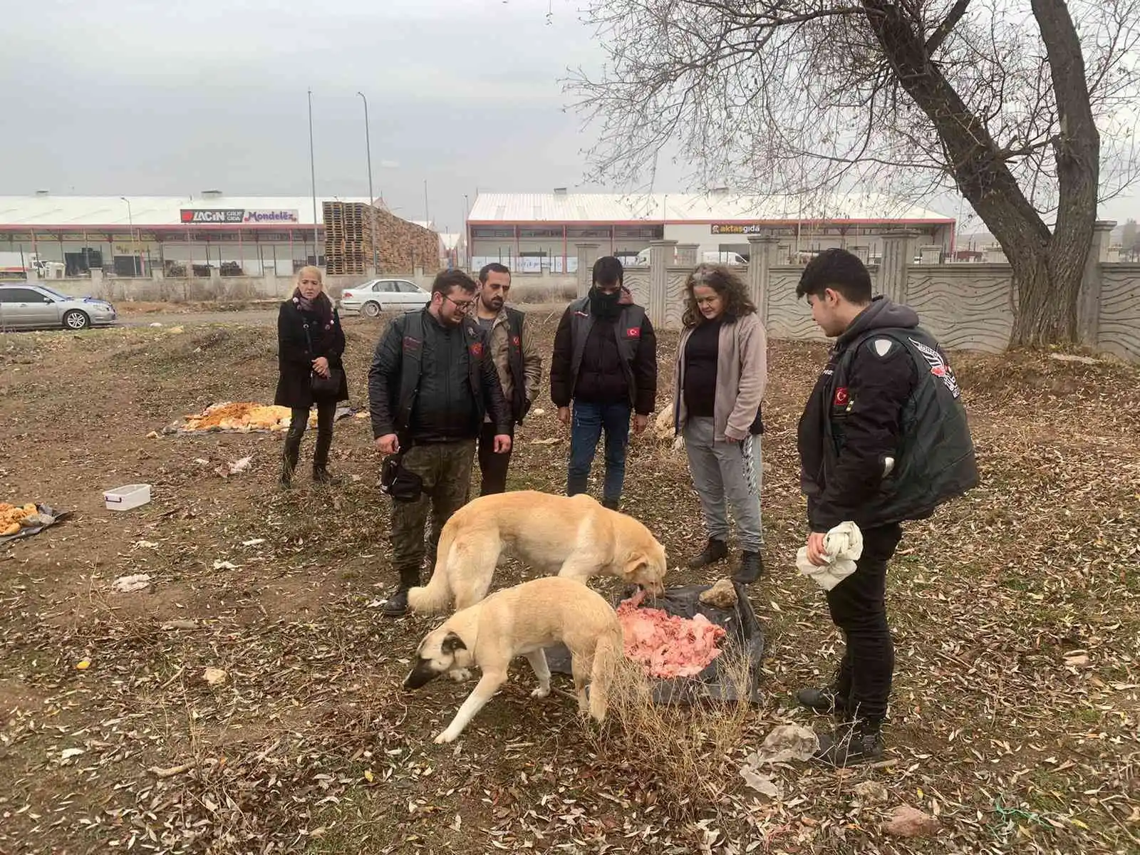 (ÖZEL) İnsanları merhamete davet ettiler