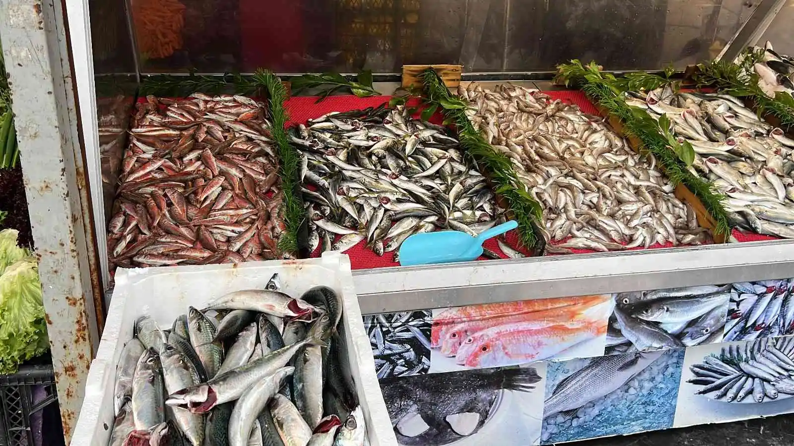 Palamuttan sonra tezgahların yeni gözdesi hamsi oldu