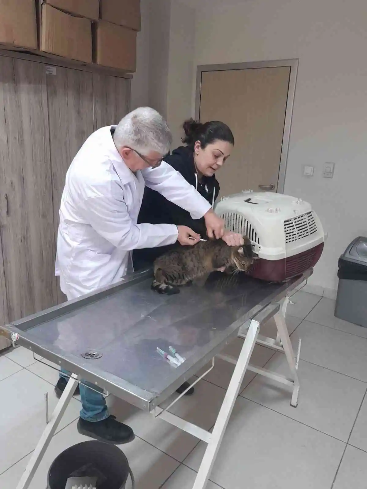 Parıldar’dan evcil hayvan sahiplerine uyarı
