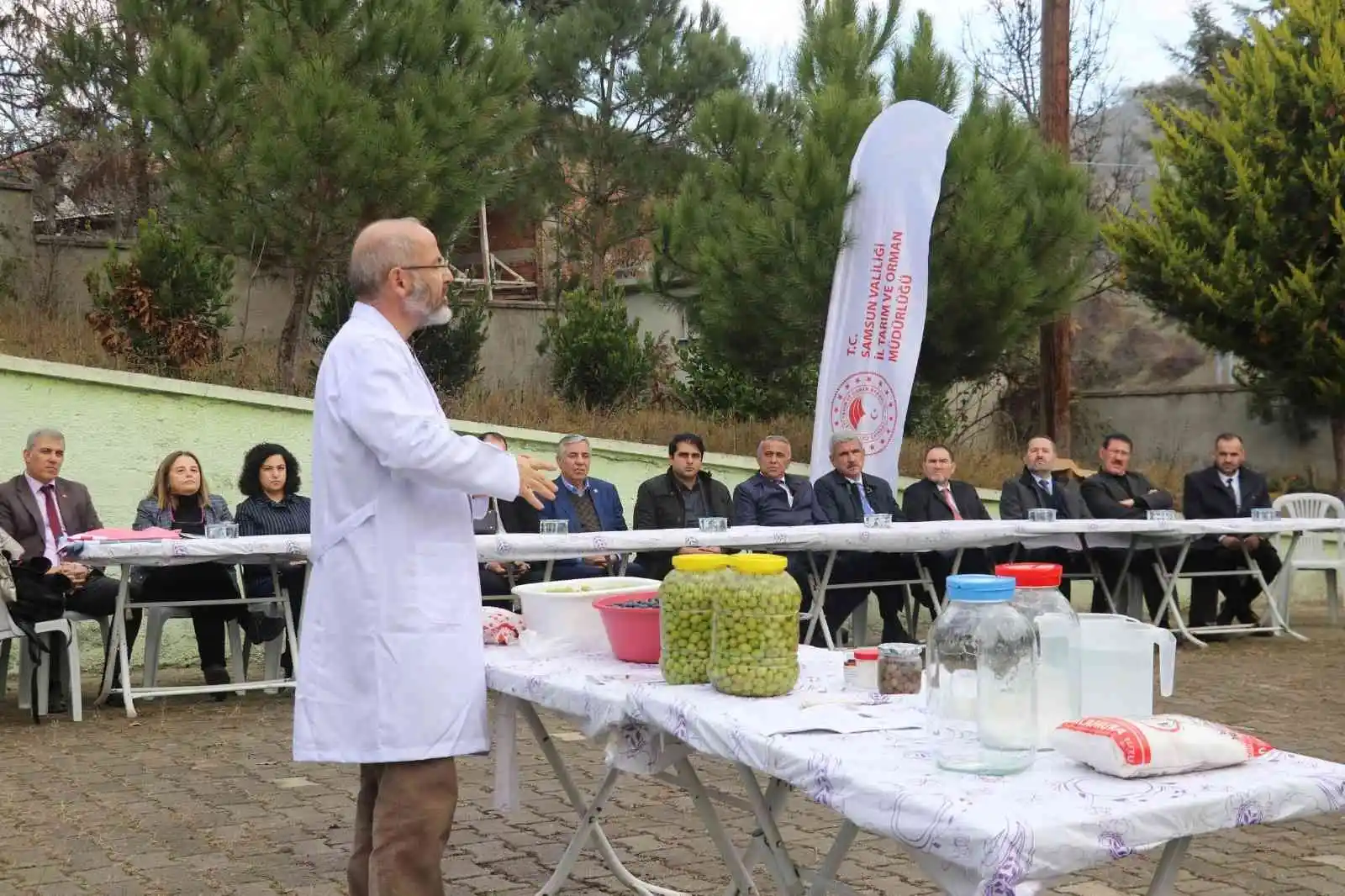 Samsun’da zeytin tarımı tekrardan canlanıyor
