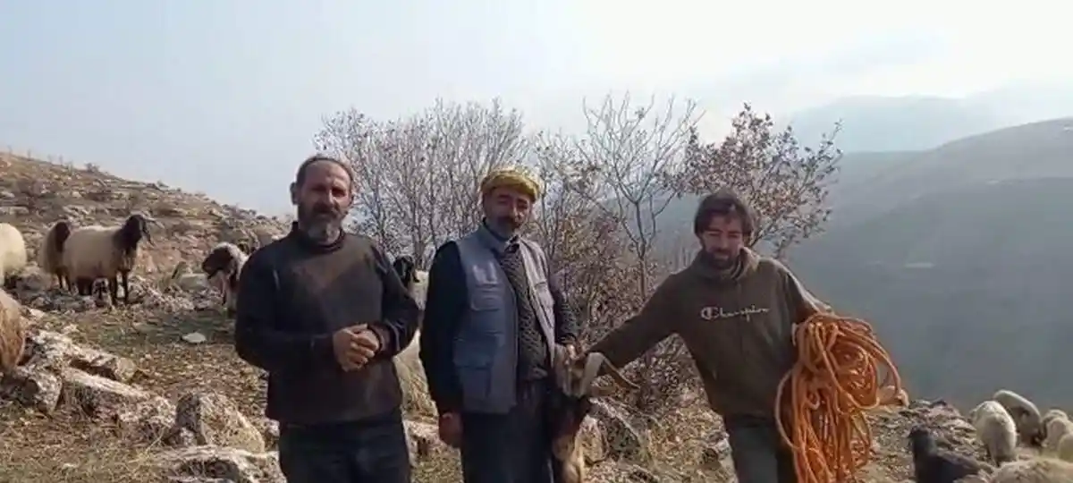 Siirt’te kayalıklarda mahsur kalan 2 keçi kurtarıldı