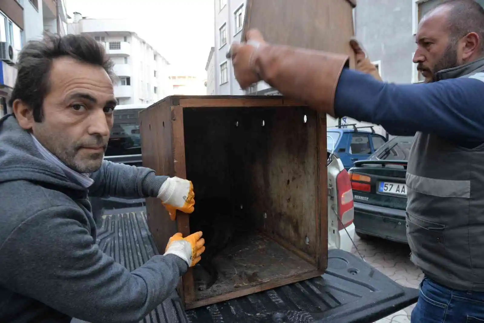Sinop’ta yaralı halde bulunan su samuru tedavi altında