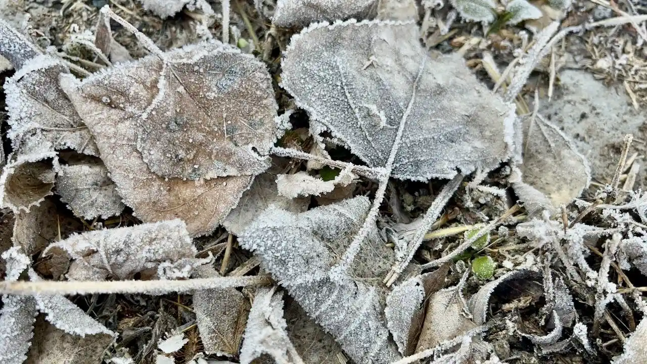 Soğuk hava Ağrı’yı etkisi altına aldı
