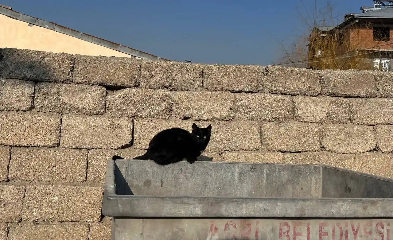 Soğuk hava Ağrı’yı etkisi altına aldı
