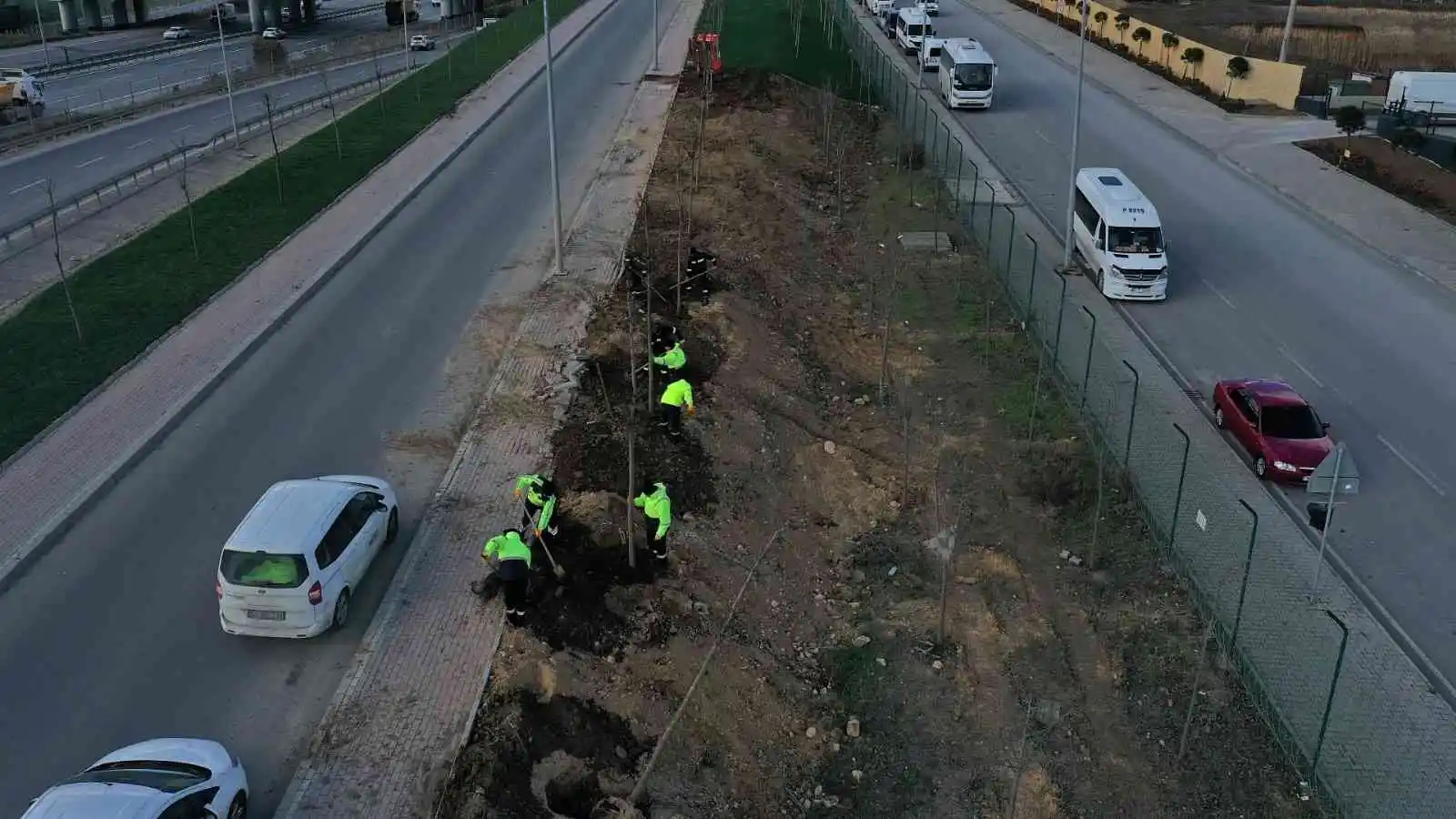 TEM Gebze güzergahında ağaçlandırma seferberliği
