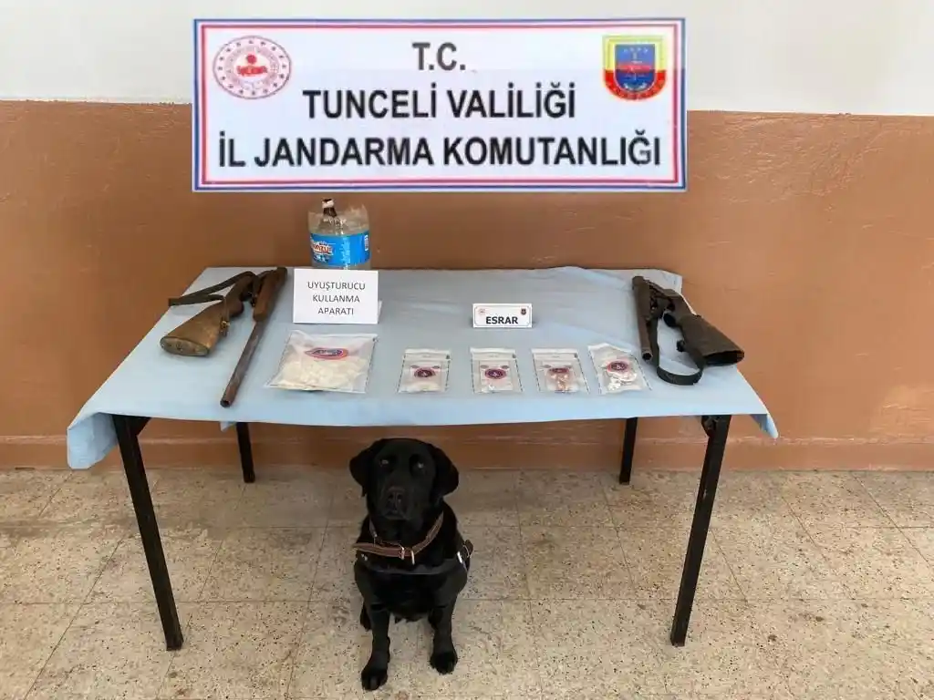 Tunceli'de uyuşturucu operasyonu: 11 gözaltı
