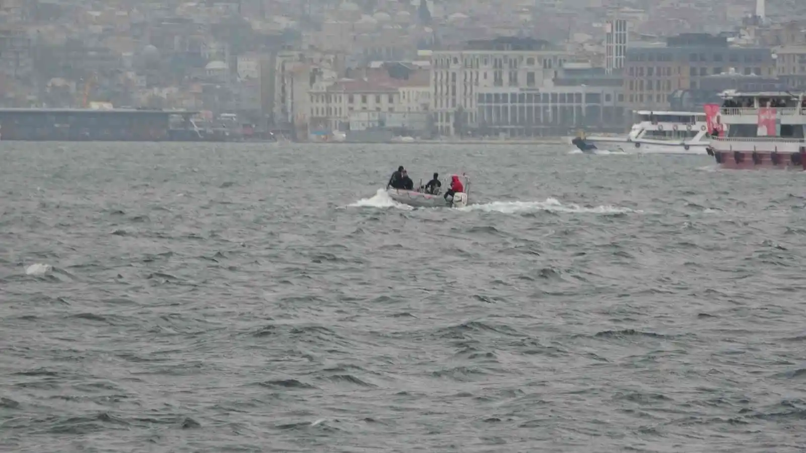 Üsküdar’da iki geminin arasında sıkışan yunus öldü