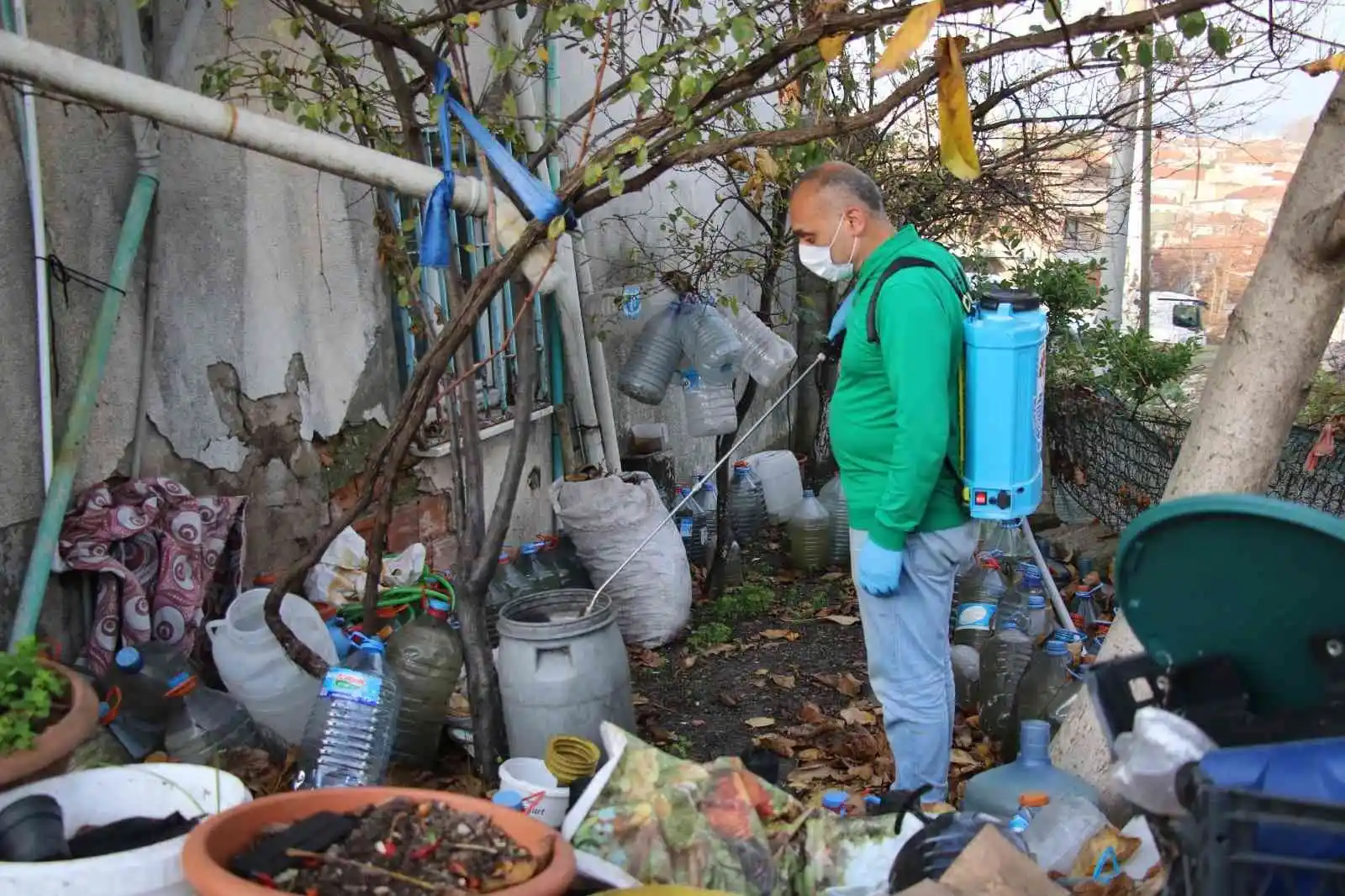 Yalova Belediyesi'nden larva noktalarına ilaçlama
