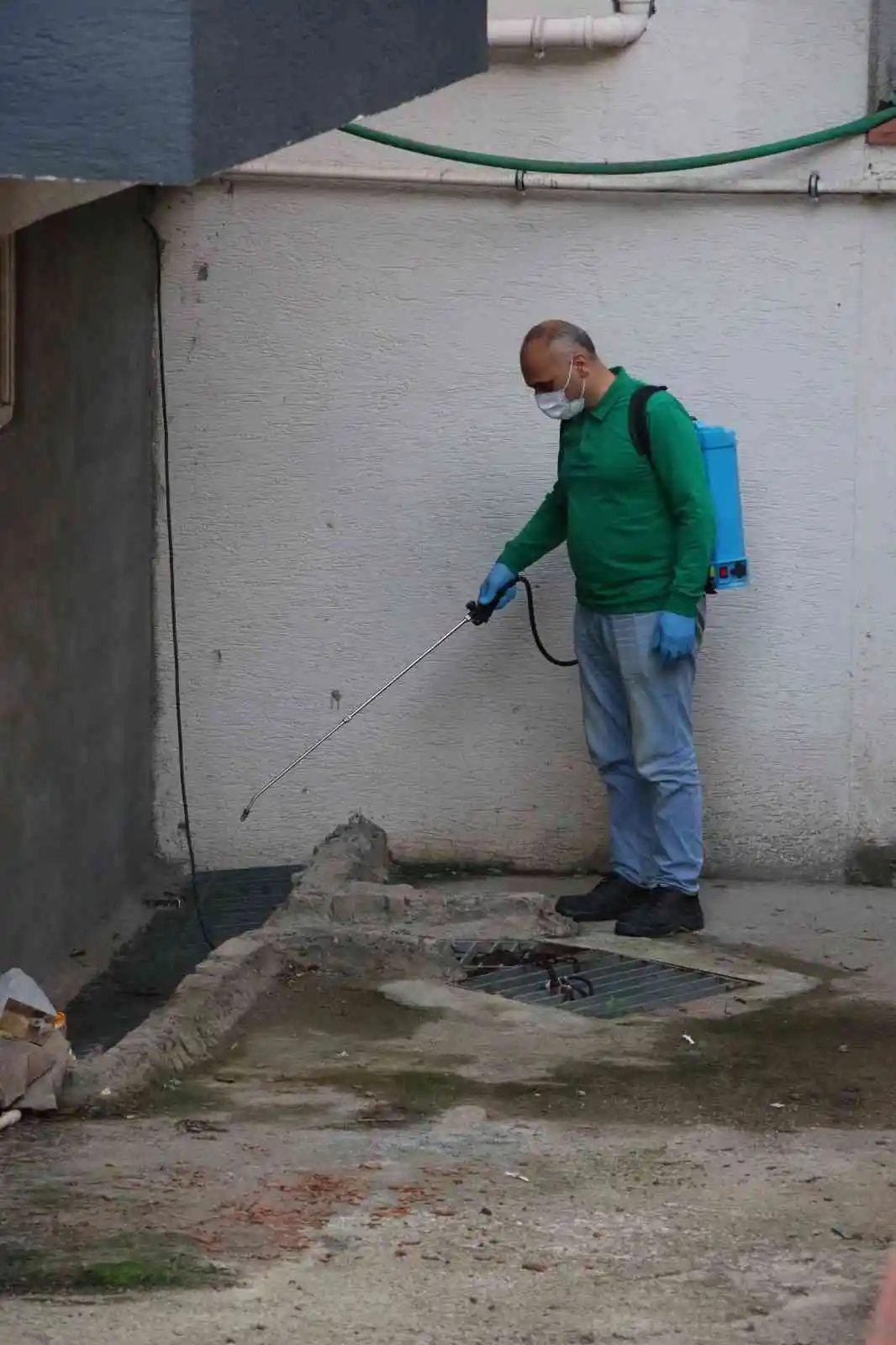 Yalova Belediyesi’nden larva noktalarına ilaçlama