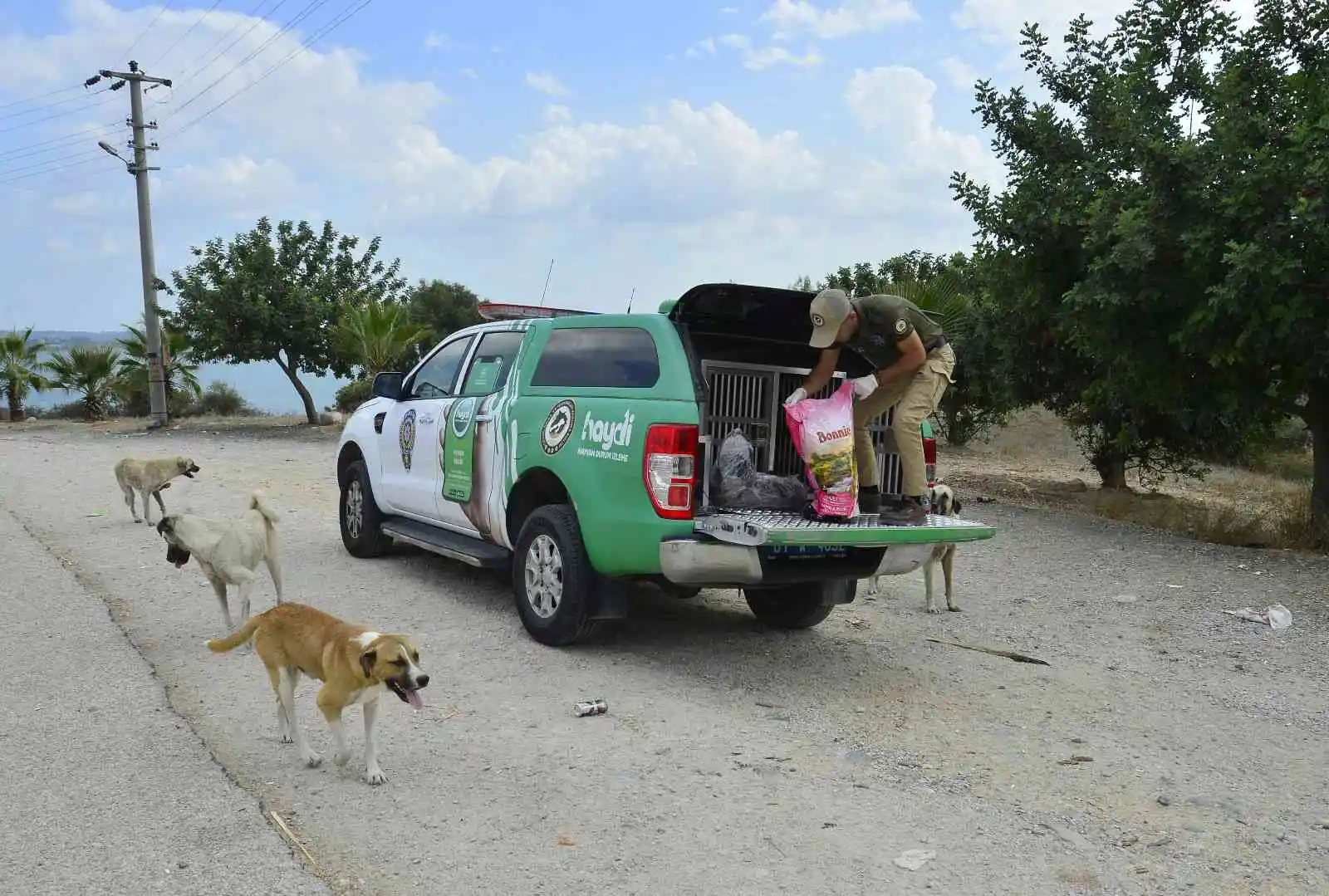 Adana'da 132 yasaklı ırk köpeğe el konuldu
