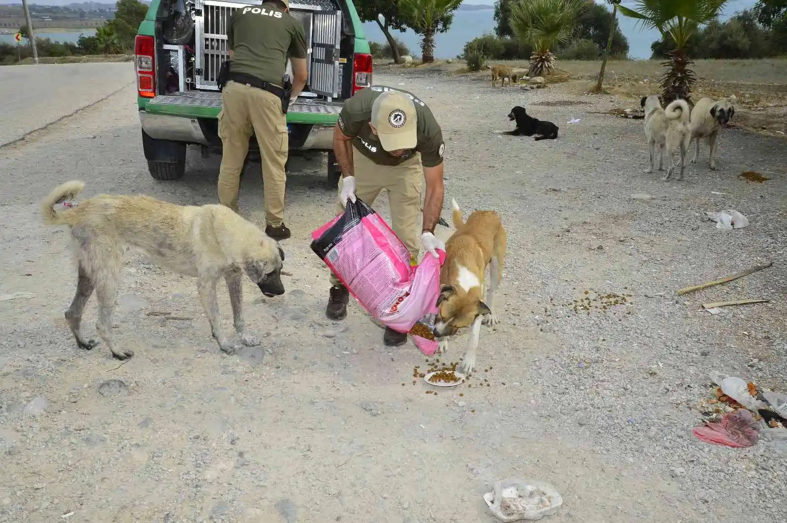 Adana’da 132 yasaklı ırk köpeğe el konuldu
