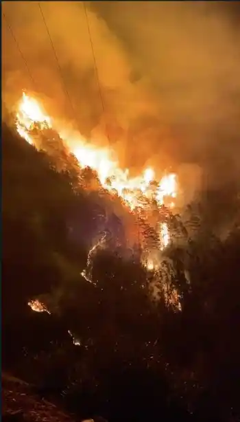 Alanya'da orman yangını
